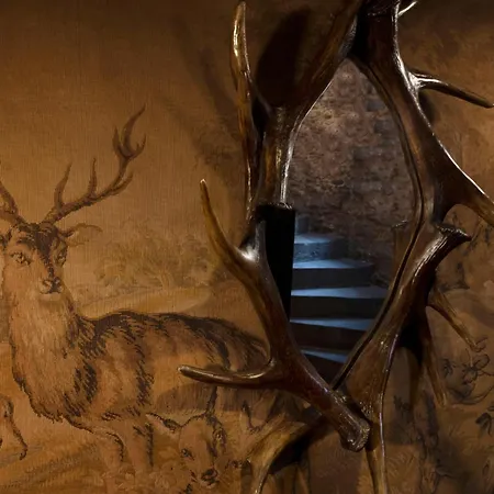 The Witchery-3