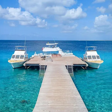 Divi Flamingo Beach Resort-3