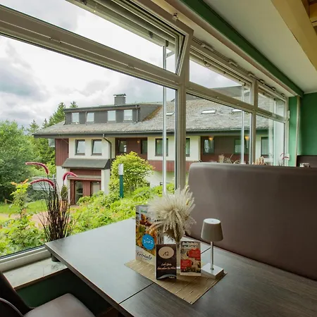 Panorama Hotel Winterberg-3