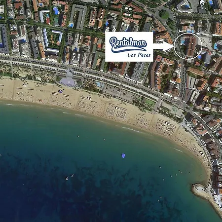 Rentalmar Los Peces-3