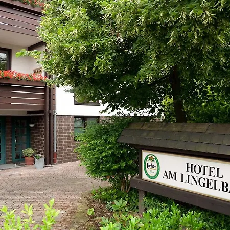 Hotel Am Lingelbach-3