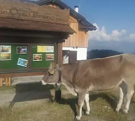 Rifugio Orso Bruno-3