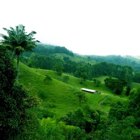 Mirador de los Cedros-2