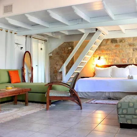 Pina Balev Inn-2