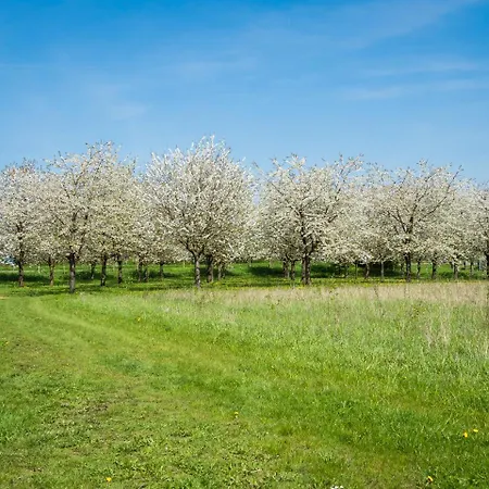De Oosterling-3