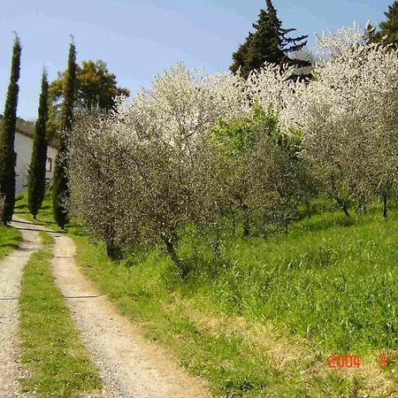 Poderesulle soglie del Bosco appartament&rooms-2