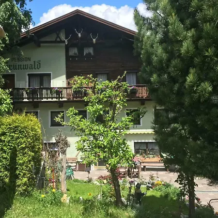 Pension Grünwald-2
