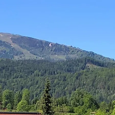 Zum Alten Forsthaus-3