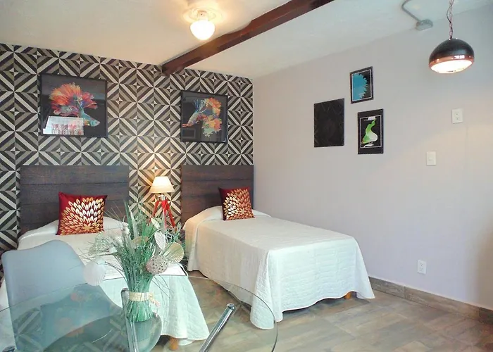 Coyotito Beds Coyoacan Confort y flexibilidad
