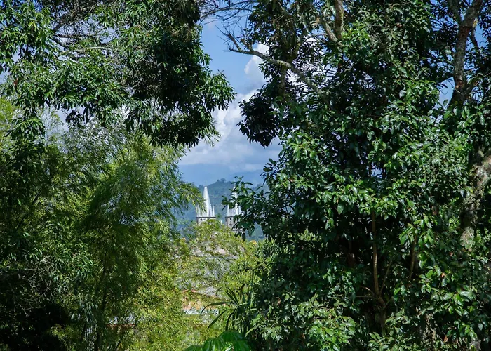 40 Amigos Hotel Jardín