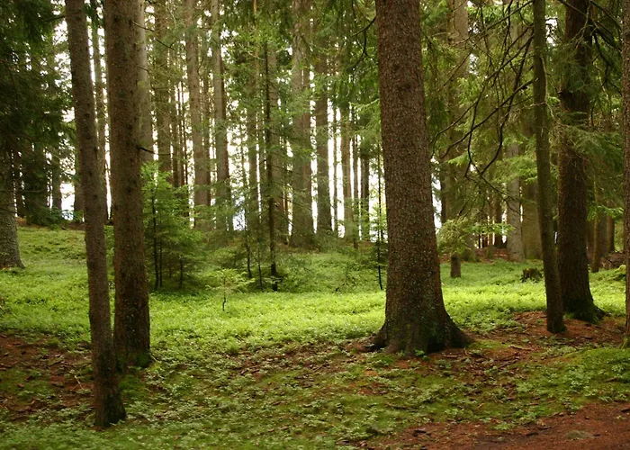 Panoramapension Etschblick