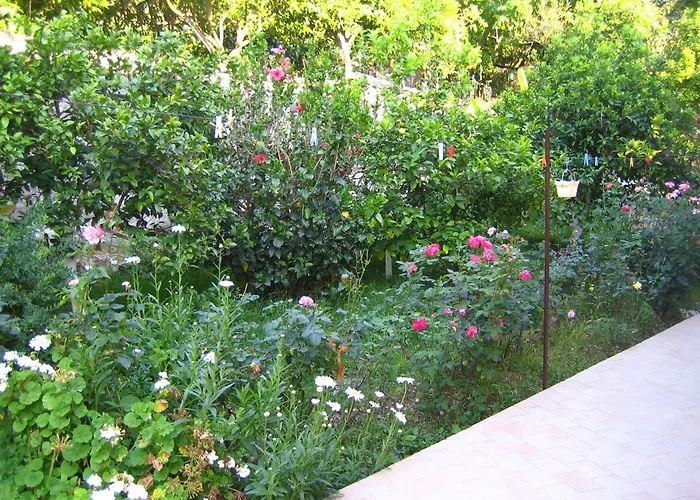 Pension Holidays Vasiliki 