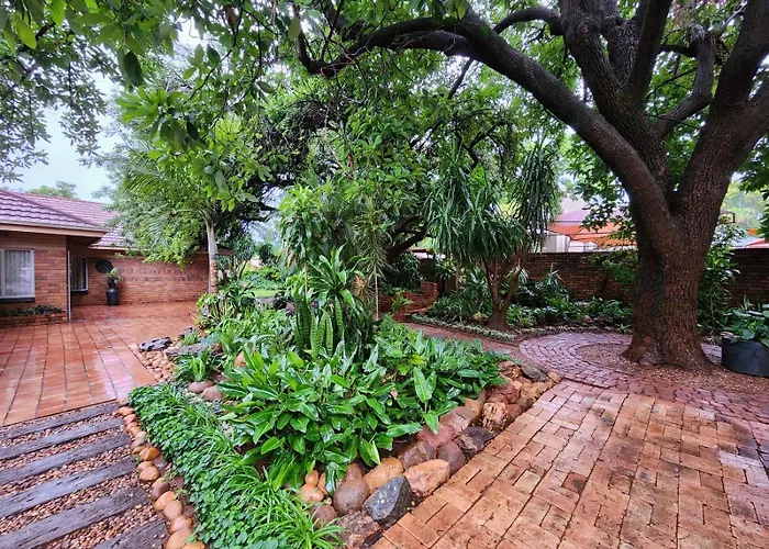 Tree Aloe Guest House Mokopane