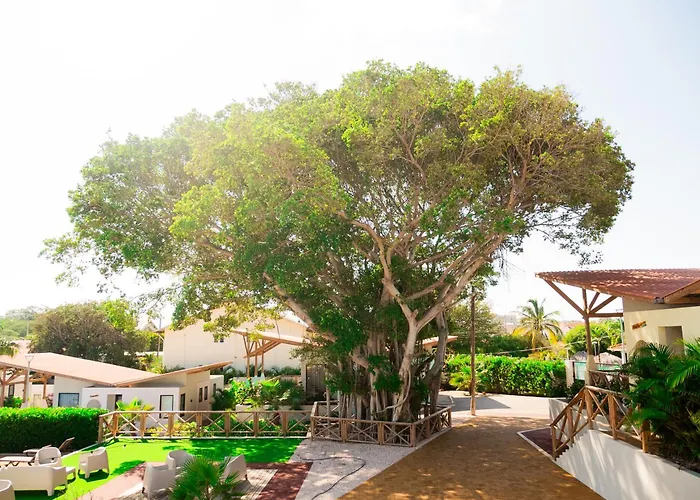 Malvales Resort