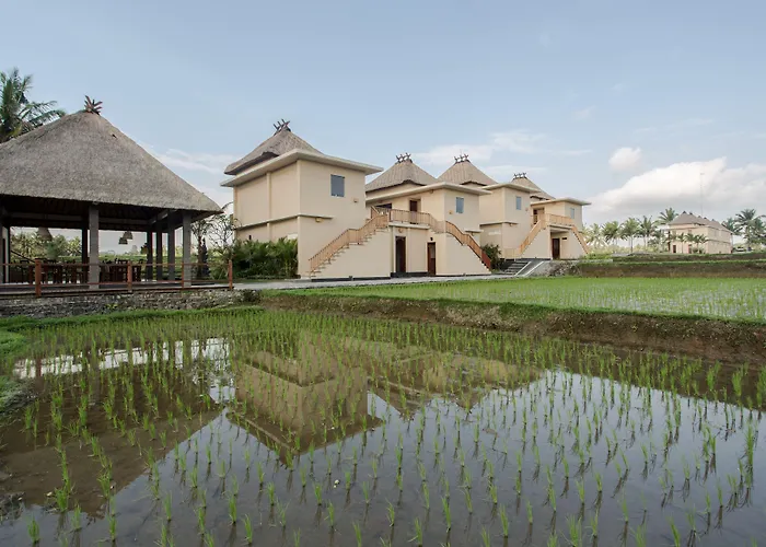 Manyi Village Ubud