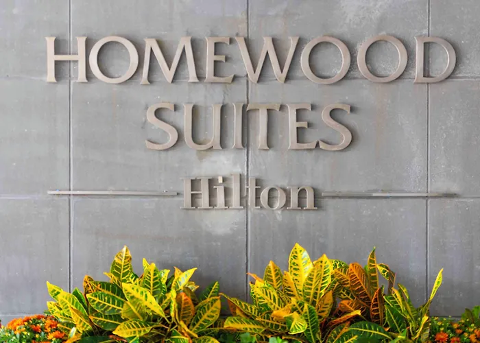 Homewood Suites By Hilton Boston Logan Airport Chelsea