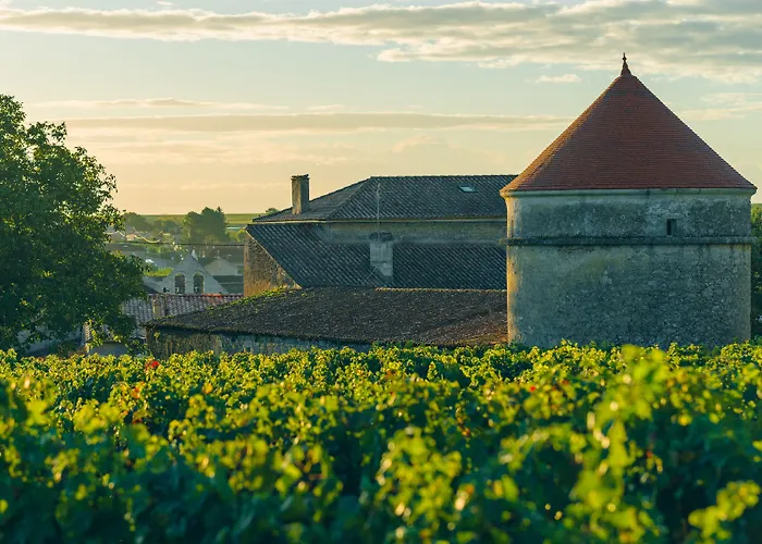 Domaine De Mercade
