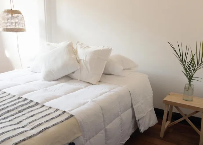 La Posada Coliving Viña del Mar